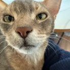 甘甘ボーイの抱っこで、家事が進まない