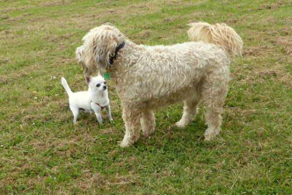 P House ぷく Powered By ライブドアブログ