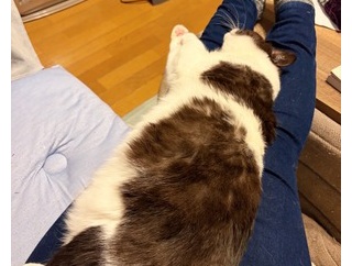 間に合ったーっ！！