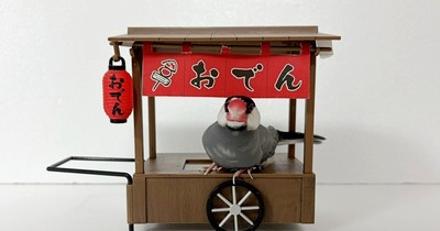 ２０２６年おでん屋さん始まります