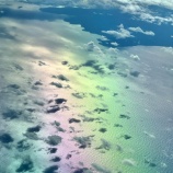 『復刊記念の会』の画像