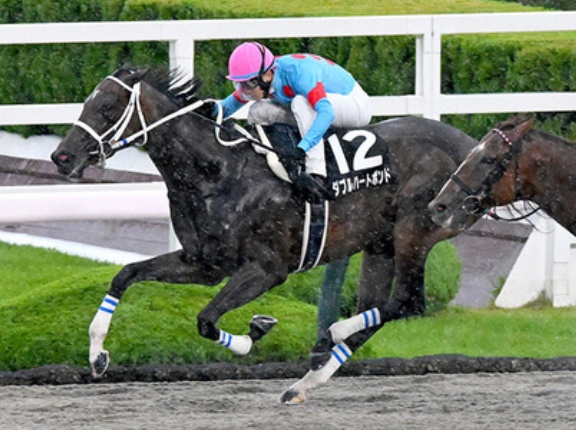 【競馬予想】[1] 第15回みやこステークス(GⅢ) /2025