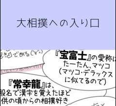 大相撲への入り口