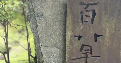 お墓参りの帰り道、ずっと憧れていた「ギャルリ百草」に出会えた日