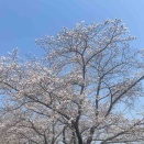 眠れない