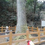 合気道月光流道場長・チョコ助と伊東健治の公式ブログ　「骸(むくろ)をつけていま一戦(ひといくさ)せん！！」