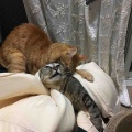 仲良し