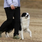 フォトグラファーチコソラのブログ