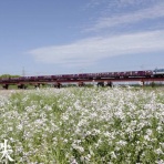 G鉄グラフィティ