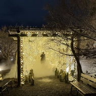 【京都】1ヶ月だけの幻想的な世界　～東寺月回廊