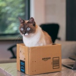 『働く高齢者』の画像