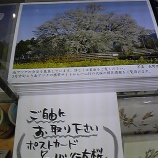 �ذ쿴������Ⱦ���Ƥդ���Ҥȡ٤β���