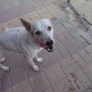 火曜日の朝のお散歩