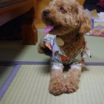 のんびりみやげばなし