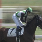 柳田悠岐の馬、新馬勝ち！ ダービー4着ゴーイントゥスカイの妹