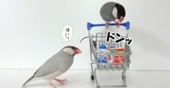 買い物のお供にジルたんを