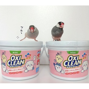 ジルだけが滑るんですよ