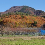（続）東北の山遊び