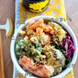 『天ぷら弁当・にんじんの葉と大根がお勧め!』の画像