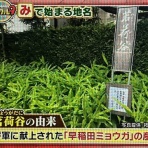 アッキーのブログです。39歳です。(AKB39)