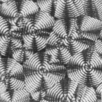 高分子-ミクロの世界-