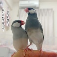 兄たんって…
