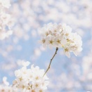 クラウドファンディング〜2025.12〜