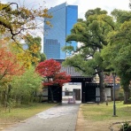 西滝直人  　アトリエ日記