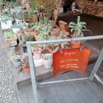 靴夢道～良いもの永く～　レザーアイテムを愛する男のエイジング記録