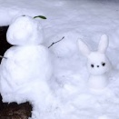 可愛い雪うさぎとお手上げウサギ