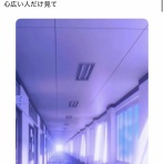 わんこーる速報！