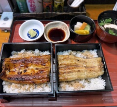 白焼きと蒲焼を同時に味わう、富士山の恵み『ふわトロうな重』〜御殿場　駒門ひろ田〜