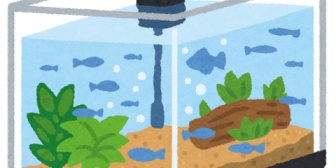 私は熱帯魚を飼っていてその水槽の中に小さなエビも数匹一緒に飼ってる。彼氏とは共通の友達が多く、知人に会うたび彼氏が…