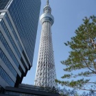 『マンショの関東旅行記４日目』の画像