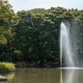 東京の公園・庭園で過ごす癒しの時間｜日吉浩陽のブログ