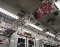 『今年の夏から秋の西武電車』の画像