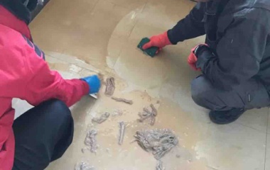 『床のこんな汚れ、諦めていませんか？』の画像