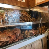 『カニランチ〜(´∀｀)』の画像