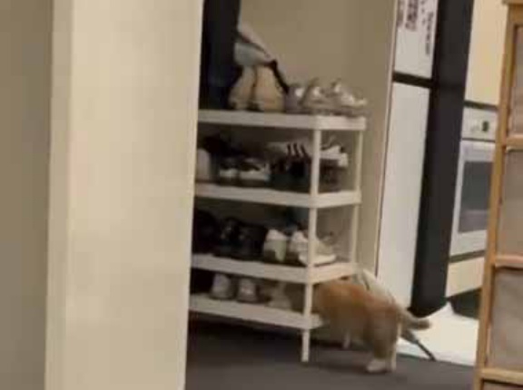 可愛い彼女はイタズラ好きだった。その瞬間を現行犯で見つかってしまう！ → こんな顔になりました…
