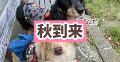 モコちゃん全快。