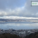 260128水曜日　JMムーンるーじゅ、炎舞、マルバきらめき、高接、午後はサボリ、夜無尽欠席、夕方F632