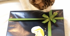 サブレとリボンと猫ら。
