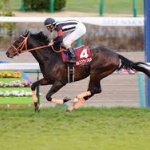  面白い名前の競走馬ランキング！！