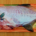 国東の食環境（470）カワハギ