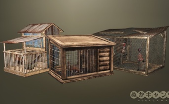 鶏舎 / 檻のウサギ / ラッドキジ小屋