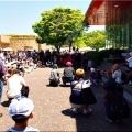 今回は、5/17(日)に「第59回〝福山ばら祭2026〟」行きのGONsanでした(^.-)☆(04)