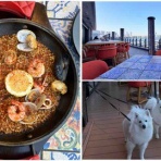 シェビーズのブログ