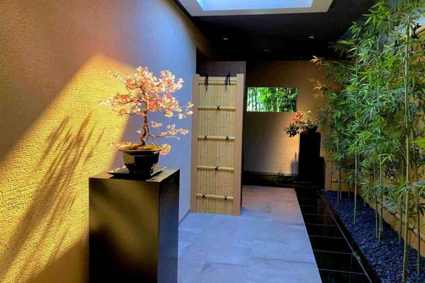 雨竹 盆栽 水石 便り レンタル盆栽