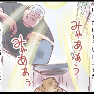 ネコ飼いの飼いネコまんが ねこボイ