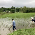 今年の田んぼのこと🌱 記録